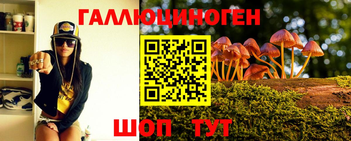 Псилоцибиновые грибы Psilocybe  Вход с VPN  Псков  Галлюциногенные грибы ЛСД 